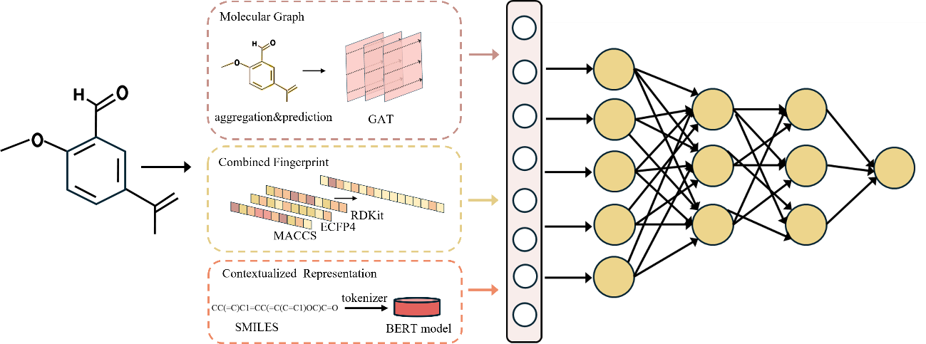 Original thesis model diagram showing molecular graph, mixed fingerprints and BERT SMILES branches feeding a prediction network.